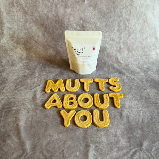 MUTTS ABOUT YOU
